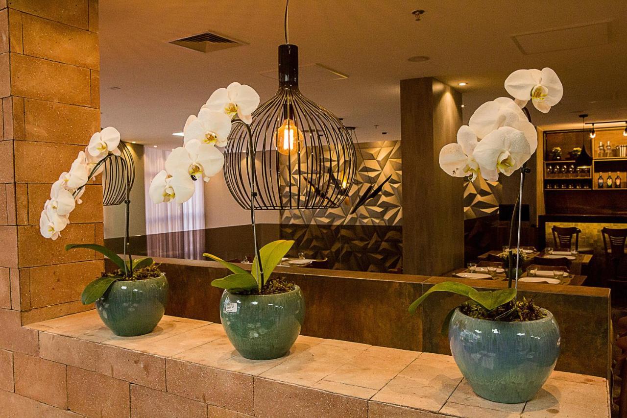 Bristol Vicosa Hotel Zewnętrze zdjęcie
